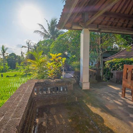 Puri Cili Villa Ubud Екстериор снимка