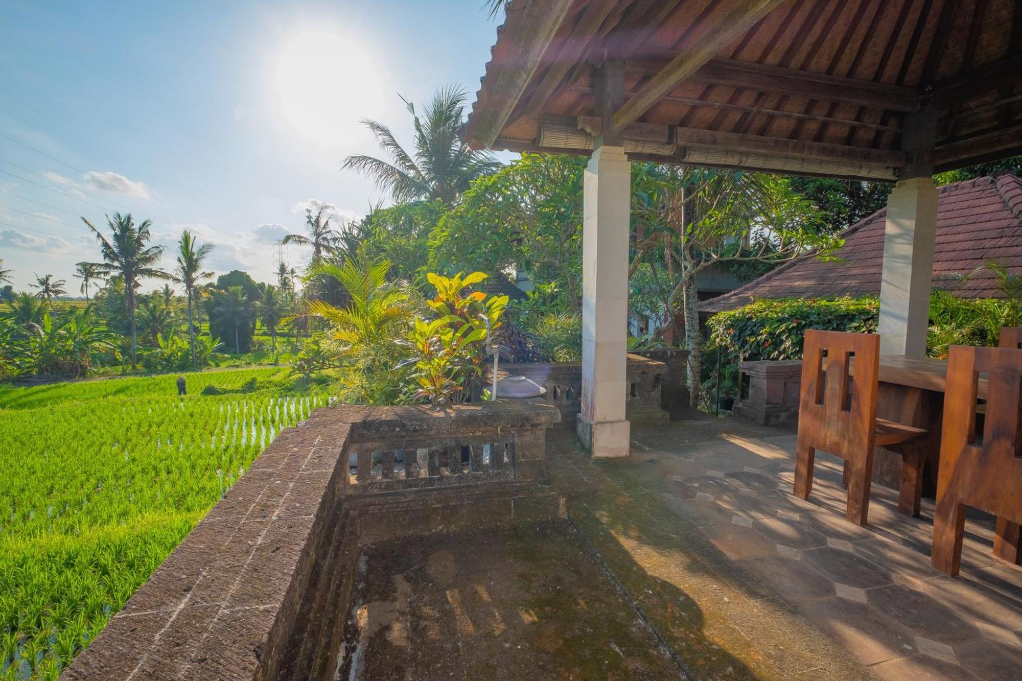 Puri Cili Villa Ubud Екстериор снимка